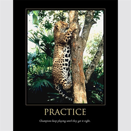 Practice Inspirational Poster - myDaVinci